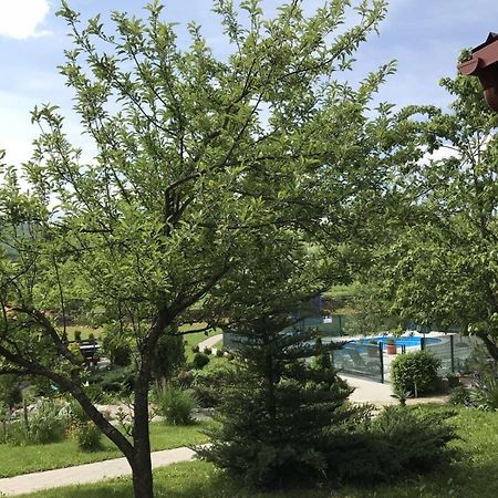 Apartments San - With Pool; Rakovica Zewnętrze zdjęcie